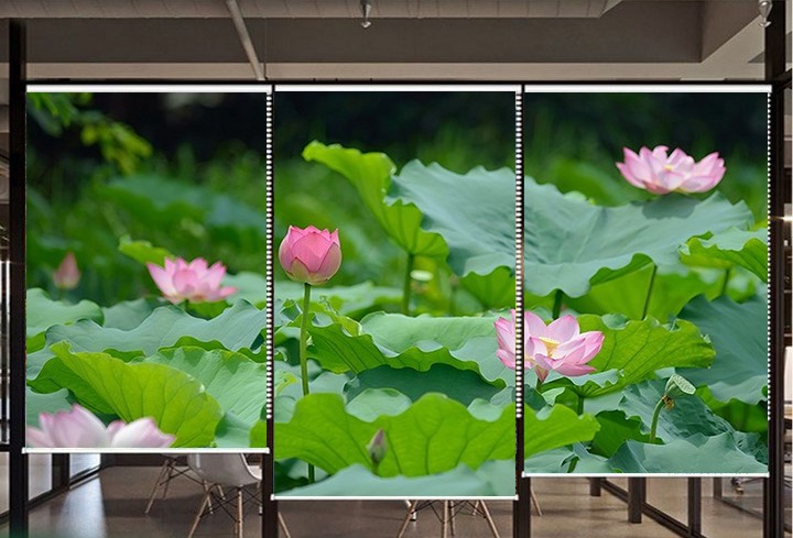 Rèm cuốn in tranh hoa sen